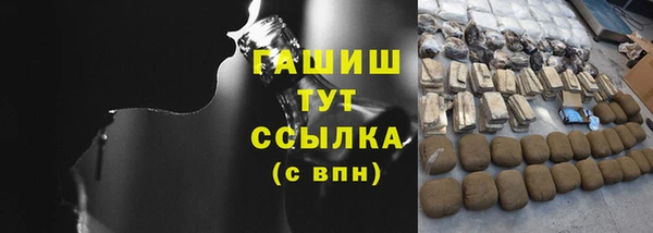 стаф Кулебаки