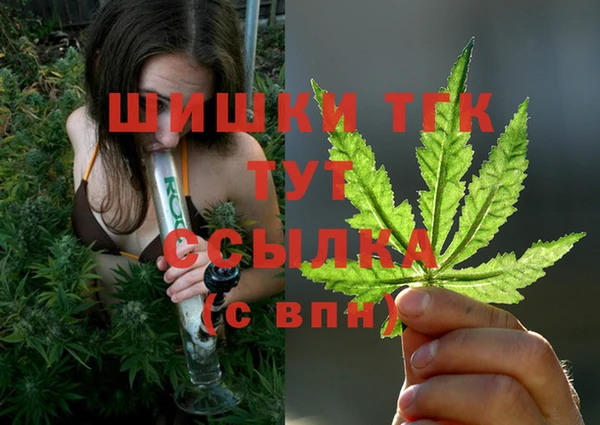 стаф Кулебаки