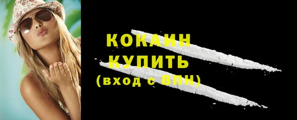 стаф Кулебаки