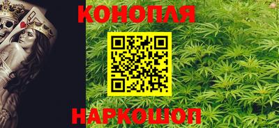 прущие грибы Гатчина