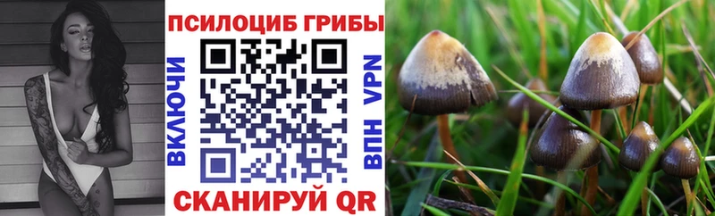 Псилоцибиновые грибы Magic Shrooms  где можно купить   Домодедово 