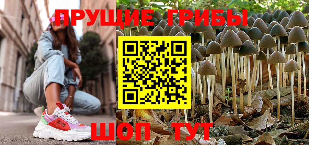 Домодедово  Галлюциногенные грибы ЛСД  Вход с VPN 